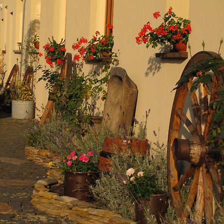 Pokoje Goscinne Skalnik - Agroturystyka Костжин над Одрон Екстериор снимка